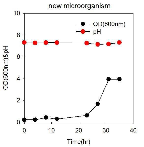 Unknown new microorganism의 growth curve