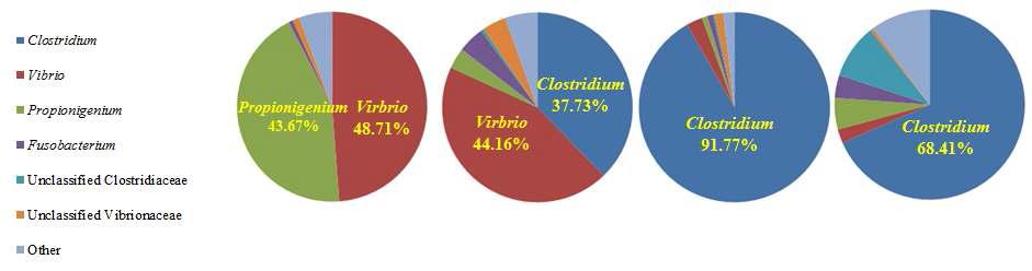 미생물 군집체내 주요 분류군의 pie-chart