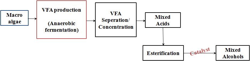 VFA 플랫폼 공정도