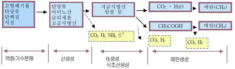 혐기성소화에 의한 유기물 분해단계