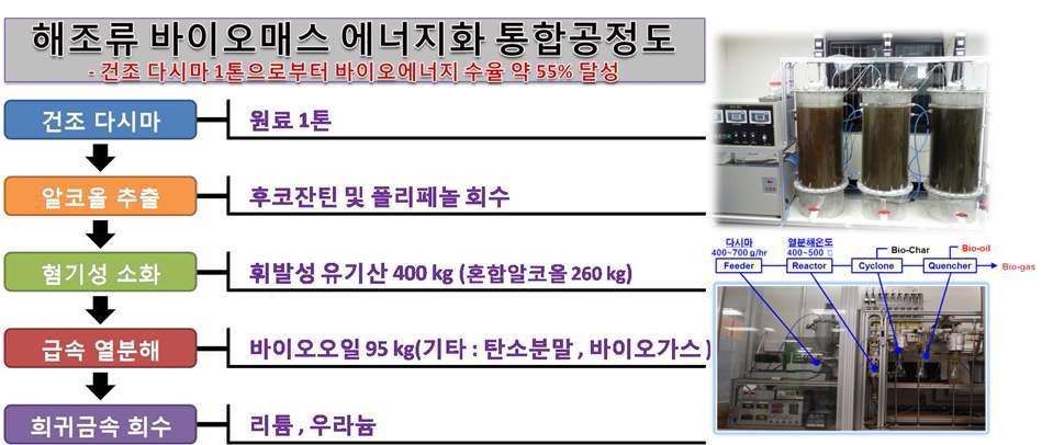 본 연구에서 수행된 해조류 바이오매스 에너지화 통합공정도