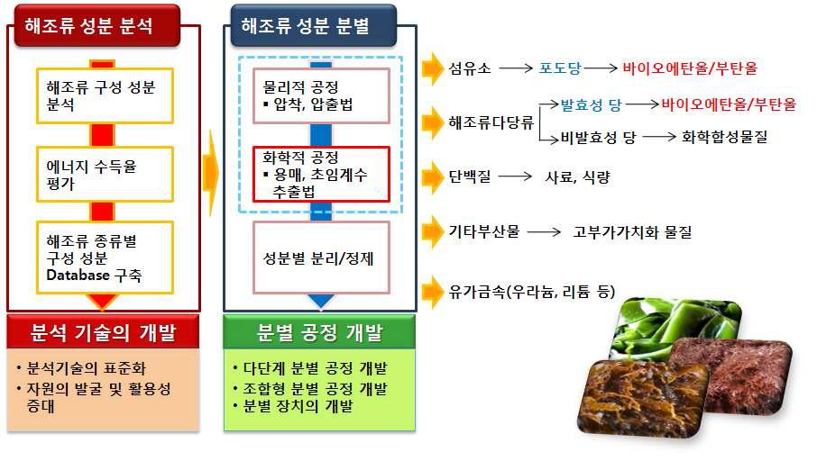 화학적 해조류 전처리 기술.