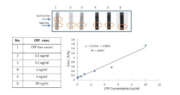 그림 7. 형광 풀러렌 나노입자를 이용한 CRP in serum 농도변화에 따른 면역반응 진단 스트립센서