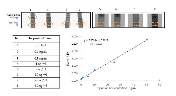 그림 7. 형광 풀러렌 나노입자를 이용한 Troponin I 농도변화에 따른 면역반응 진단 스트립센서