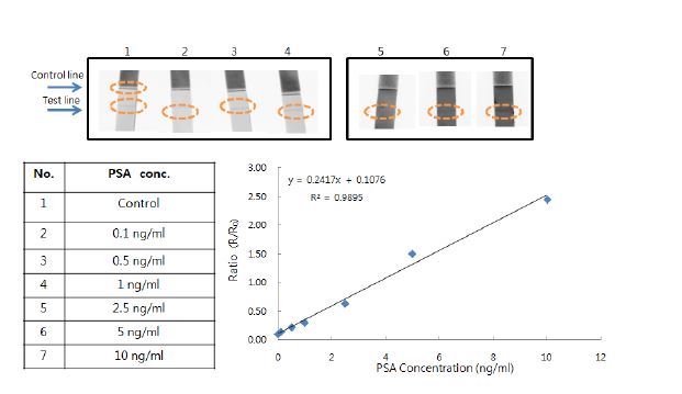 그림 7. 형광 풀러렌 나노입자를 이용한 PSA 농도변화에 따른 면역반응 진단 스트립센서