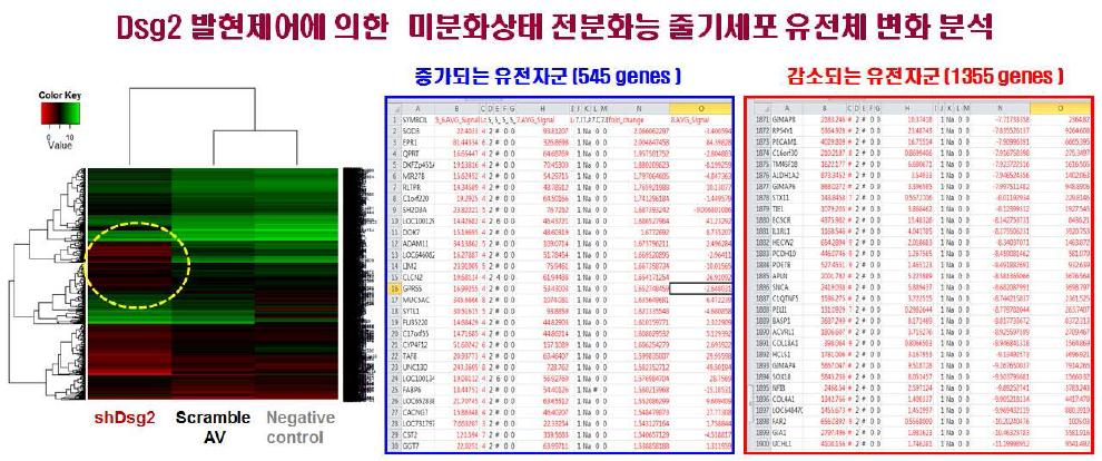 Dsg2 발현제어에 따른 유전체 변화 분석