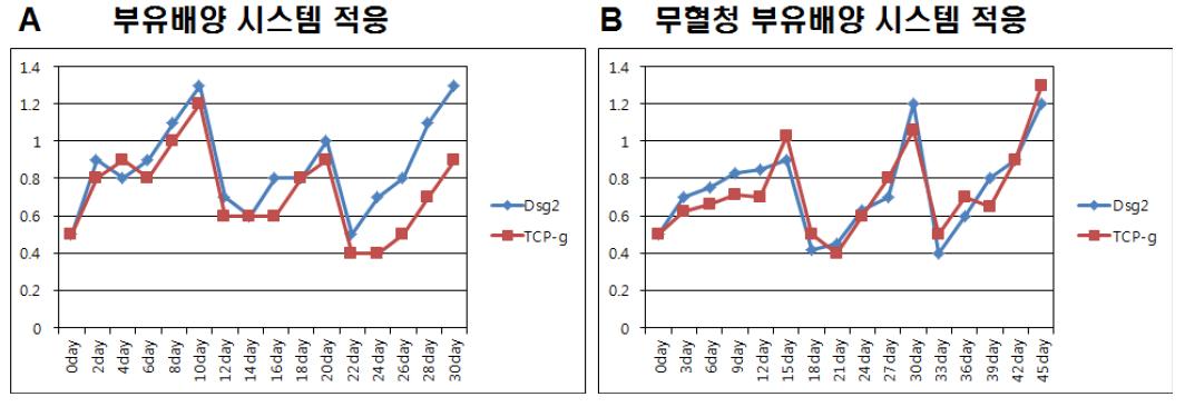 Dsg2 및 TCP-γ 항체 생산주 대량 배양 시스템 최적화