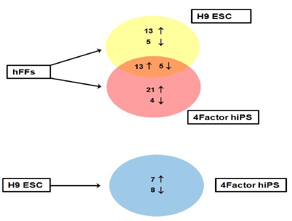 Ven diagram을 통한 단백체 분석 결과