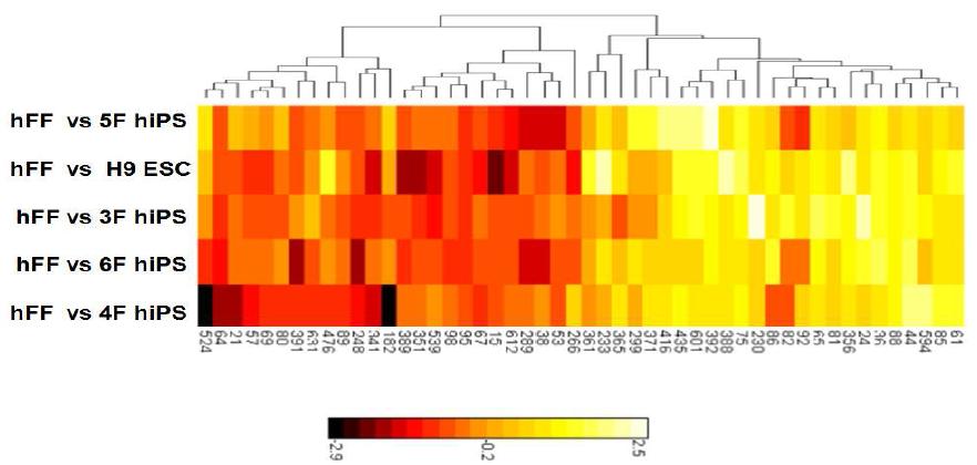 heatmap 분석을 통한 다양한 역분화줄기세포들의 배아줄기세포와의 유사성 및 차이점 분석 결과