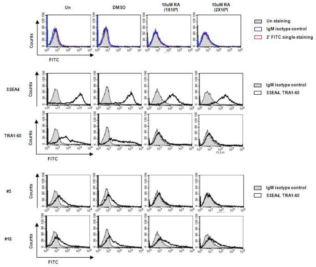 Retinoic acid에 의해 분화 유도된 NTERA-2 세포에 대한 IgM 항체의 결합력 감소 확인