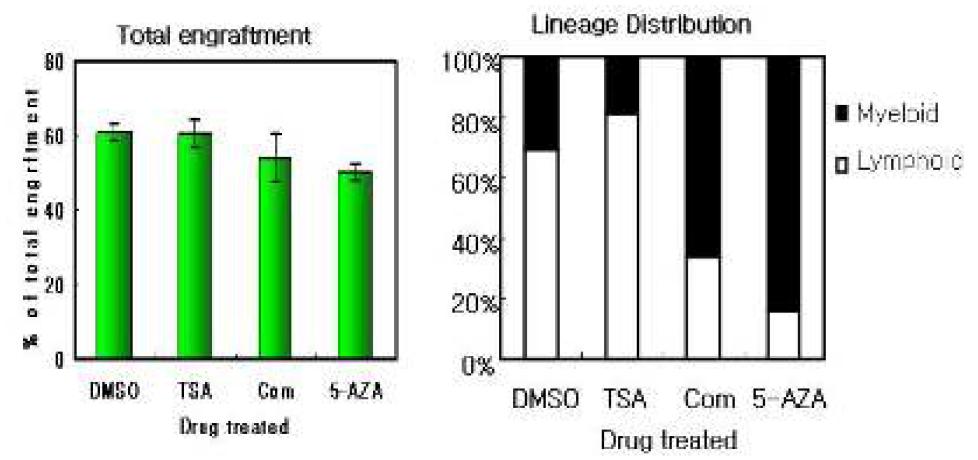 Epigenetic treat에 의한 생착능 영향 (3주차)