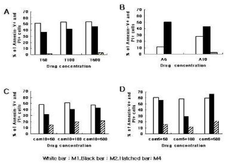 Primary leukemic cell에서의 Epigenetic blocker에 의한 Apoptosis 유도