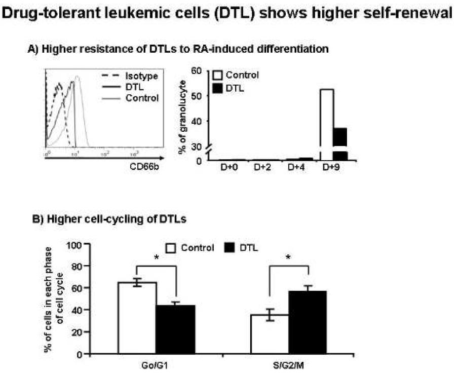 Drug-tolerant leukemic cell의 self-renewal 분석