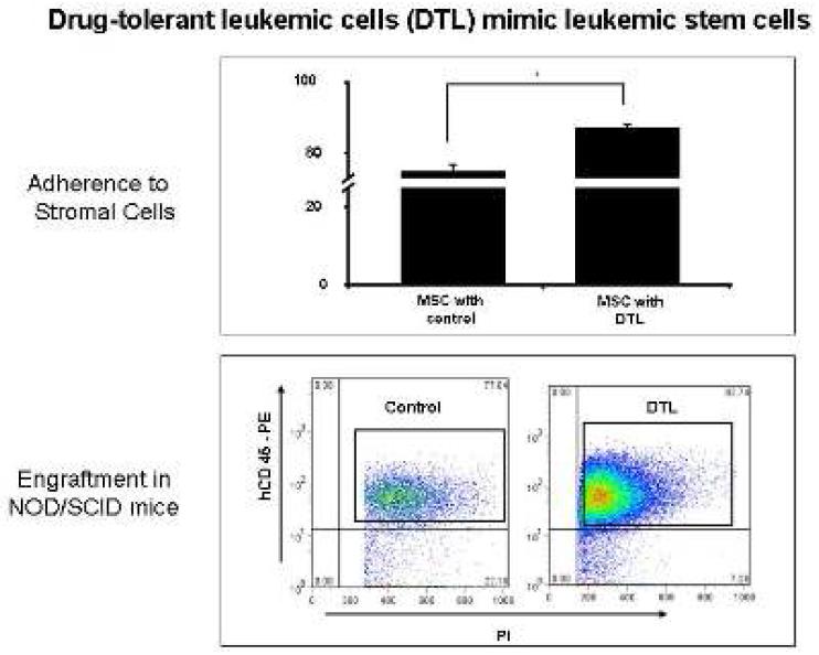 Drug-tolerant leukemic cell에서의 Bmi 유전자 및 ROS 발현 분석