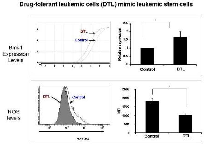 Drug-tolerant leukemic cell의 NOD/SCID mice 이식 후 CD45 발현 분포 조사