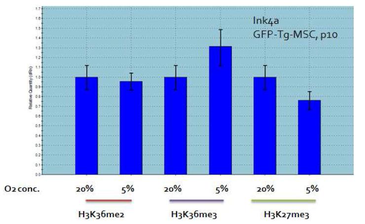 Ink4a locus에서의 히스톤 메틸화 ChIP analysis