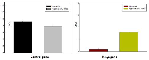 chromatin accessibility(decondensation)의 정량 분석