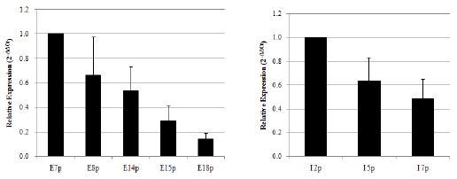 Chd1 의 MSC passage 별 발현변화 (Real-time PCR)