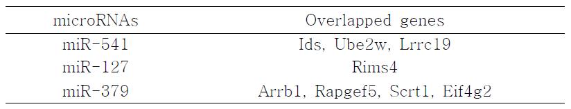 List of overlapped genes between mRNA upregulated by SIRT1 knockout and target genes for miRNAs downregulated by SIRT1