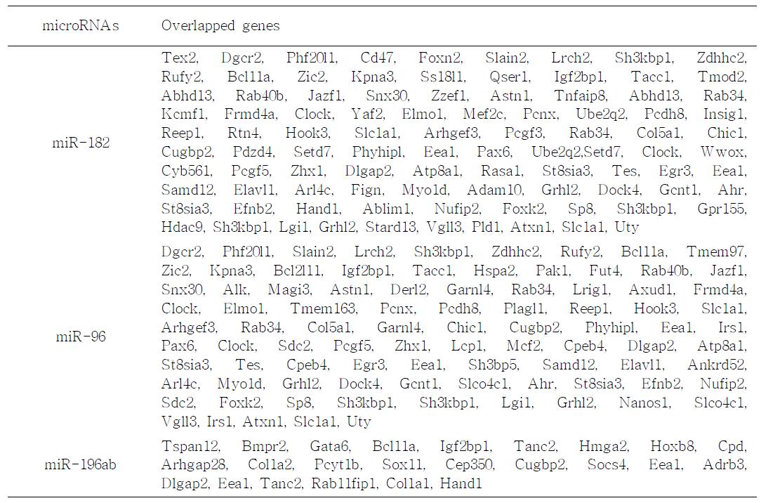 List of overlapped genes between mRNA downregulated by SIRT1 knockout and target genes for miRNAs upregulated by SIRT1 knockout