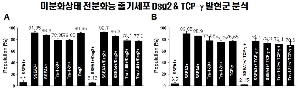 미분화상태 전분화능 줄기세포 Dsg2 & TCP-γ 발현군 분석