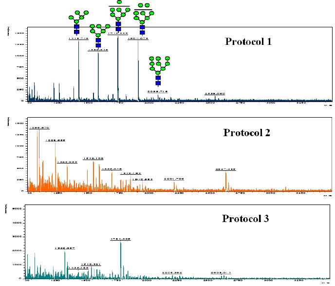 줄기세포로부터 N-glycan 분리 및 분석 조건