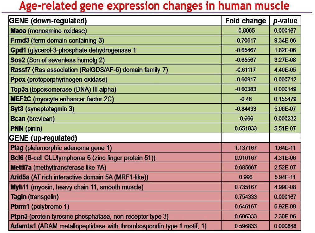 최종 선별된 20종의 유전자와 변화량