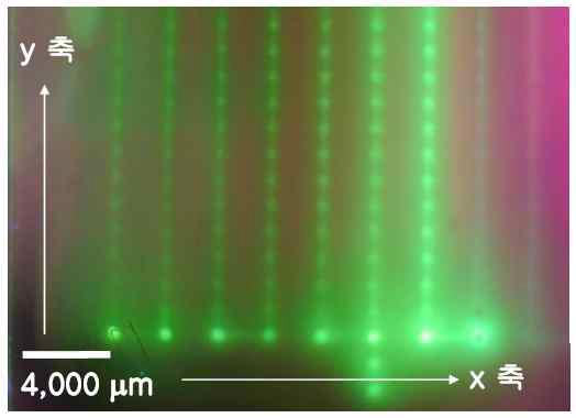 ITO 기판위에 AODJP 시스템을 이용하여 Alq3를 젯-프린팅 한 뒤 UV 조사하여 형광(Fluorescence)을 관찰한 사진