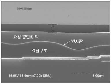 요철 반사판 구조 SEM 사진