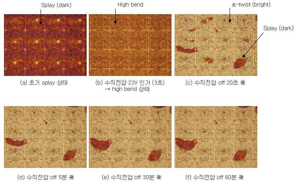 AM-BCSN panel (15“, XGA) 의 메모리 특성 평가 (현미경 images).