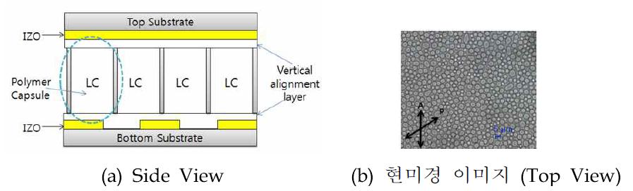 Printable LC 모드 단면 구조 및 현미경 이미지