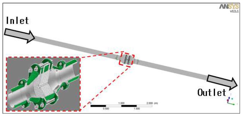 Analysis Region and Boundary Condition