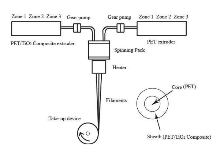 Schematic illustration of fabricating core/sheath structured fibers by bi-component melt spinning method