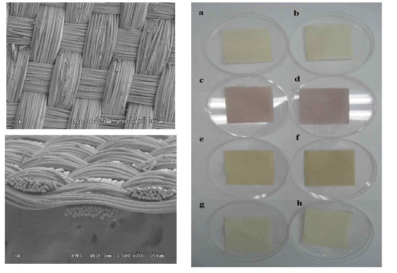 TiO2-PET and photo deposited fabric.