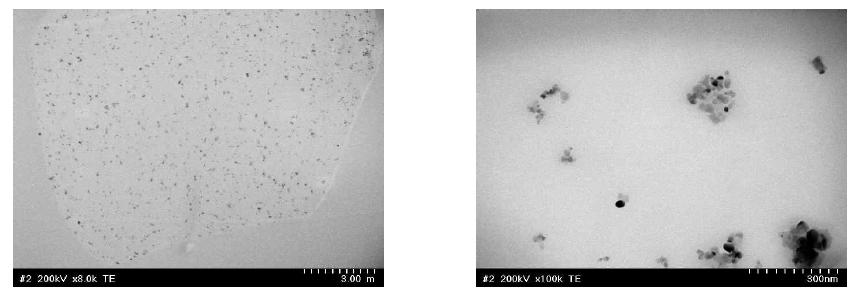 이산화티탄(TiO2) 나노입자가 4 wt% 함유된 이형단면 형태 섬유에 은(Ag) 광증착한 섬유의 전자현미경 사진.