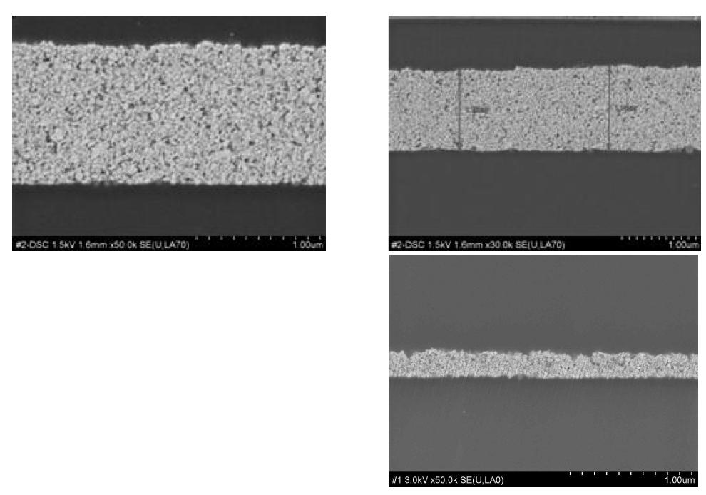 코팅단면 SEM image.