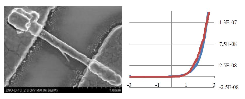 ZnO DBS 소자의 SEM사진 및 전압전류곡선.