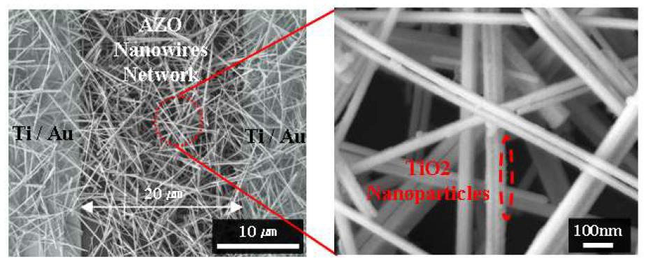 TiO2 nanoparticle이 흡착된 AZO 나노와이어 network의 SEM 사진