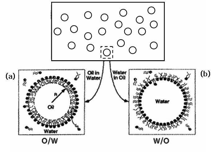 Classification of microemulsion