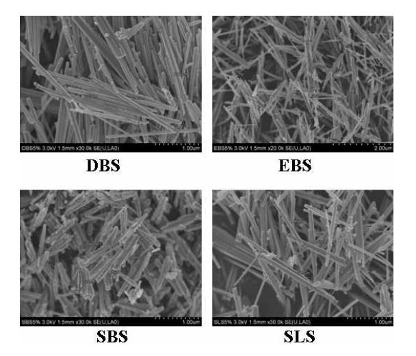 FE-SEM images of the ZnO nanorods