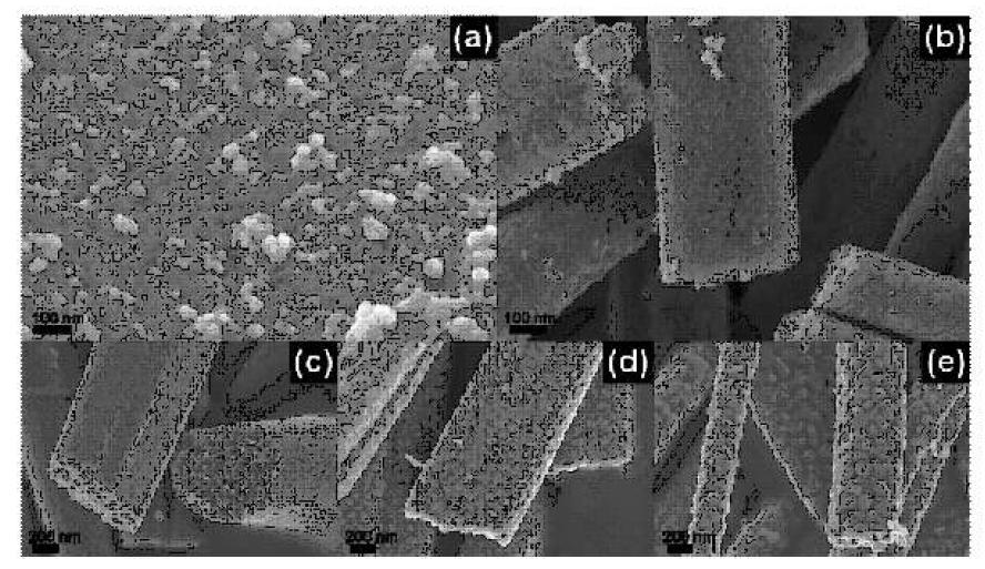 FE-SEMimages of TNP(a), TNF (b), TNF600 (c), TNF700 (d), and TNF800 (e).