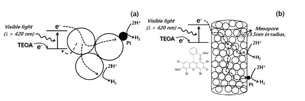 Illustration of visible light induced inter-particle electron transfer through the grain boundaries for the photocatalytic H2 production on TNP and TNF sensitized by the Eosin Y.