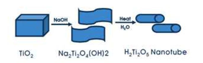 티타네이트 나노튜브의 생성과정