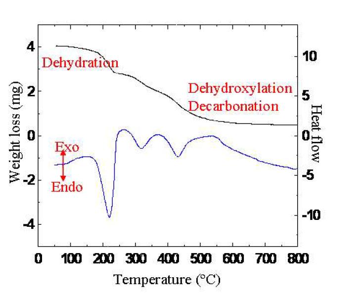 수열반응에 의해 합성한 LDH의 열분석(TG/DTA)결과.