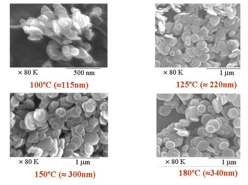 수열반응온도에 따른 LDH 입자의 SEM micrographs