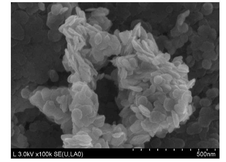 양산기반 실험 조건을 통해 제조한 LDH 입자의 SEM micrograph.