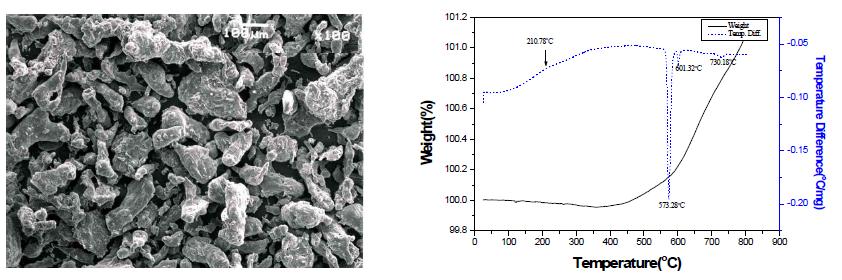 상용분말형상과 TG/DTA곡선