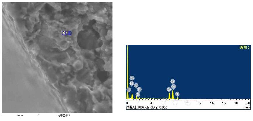 한국 Ni-Co-P 시편의 SEM and EDS 결과
