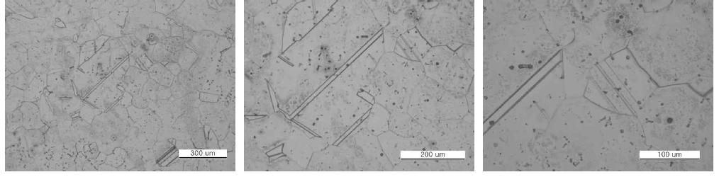 균질화 열처리조직-내부