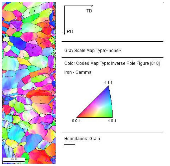 균질화 열처리(1050℃/3hrs) 후 조직조직-EBSD이미지